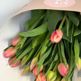 Tulips Bunch - PICKUP