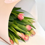 Tulips Bunch - PICKUP