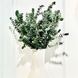 Freddie Vase