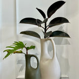 Olive & Bone Jug Set