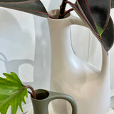Olive & Bone Jug Set