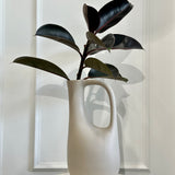 Olive & Bone Jug Set