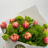 The Tulip Posy