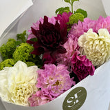 Simply Dahlia Delight