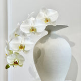 Lani Vase