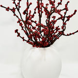 Red Berry in Harmie Dome Vase