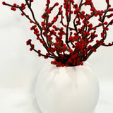 Red Berry in Harmie Dome Vase