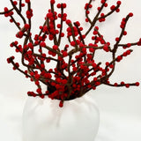 Red Berry in Harmie Dome Vase