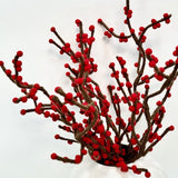 Red Berry in Harmie Dome Vase