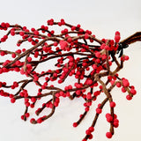 Red Berry in Harmie Dome Vase