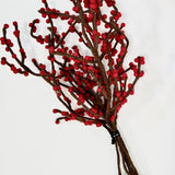 Red Berry in Harmie Dome Vase