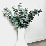 Silk Eucalyptus in Ceramic Vase (3 Choices)