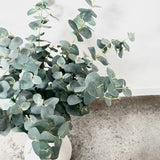 Silk Eucalyptus in Ceramic Vase (3 Choices)