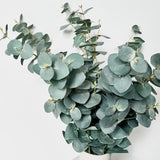 Silk Eucalyptus in Ceramic Vase (3 Choices)