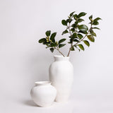The Venus Vases