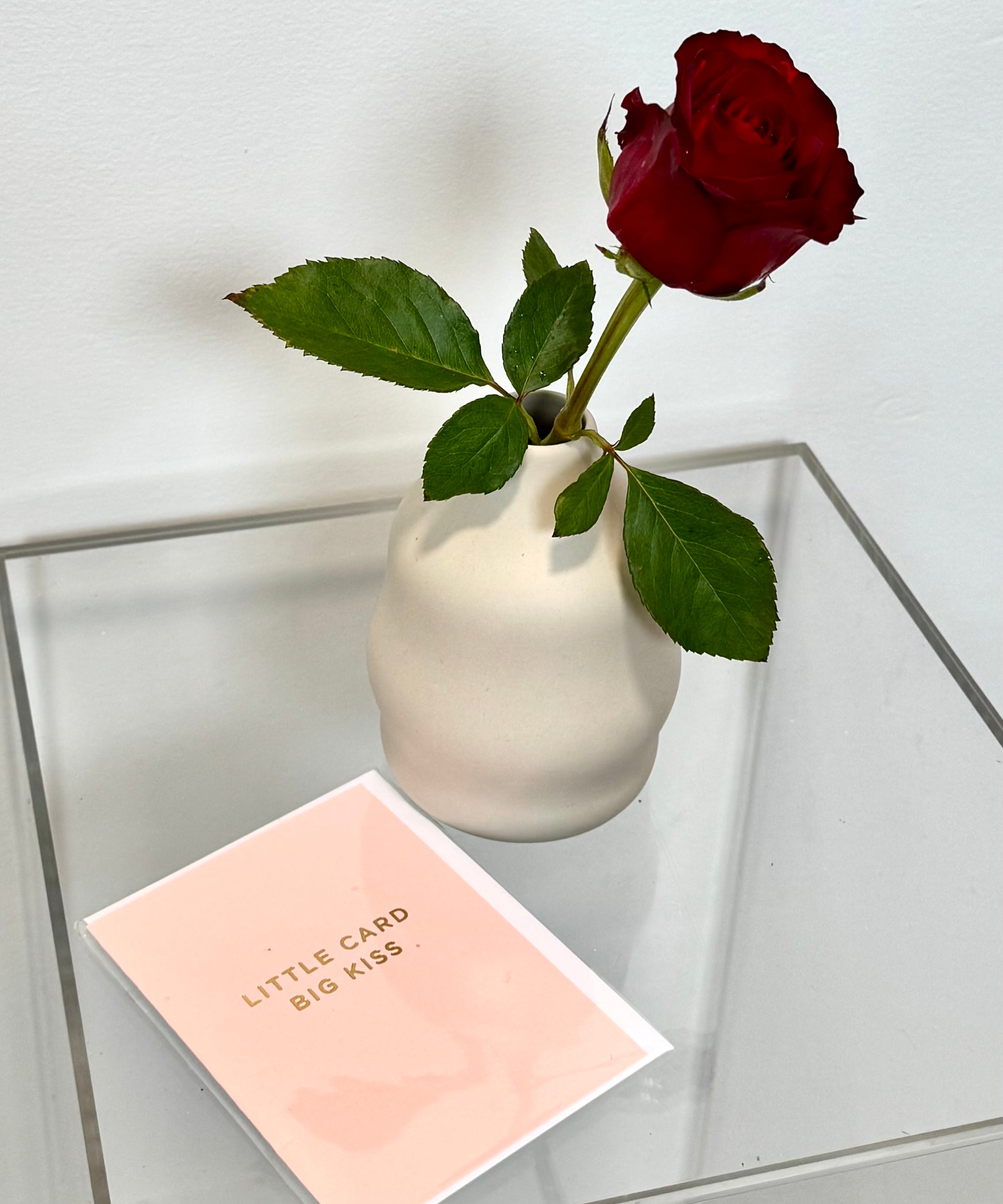 Single Rose (Wrapped/Bud Vase)