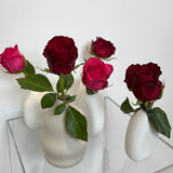 Single Rose (Wrapped/Bud Vase)