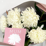 ChrysantheMUM Bunch - PICKUP