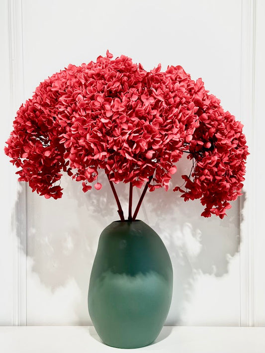 Forever Flower Hydrangeas in Vase