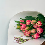 Tulip Bouquet