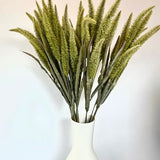 Fountain Grass