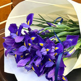 Iris Posy