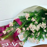Rice Flower Posy