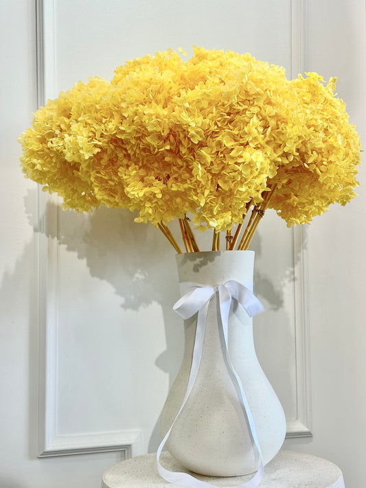 Yellow Hydrangeas in Freddie Vase