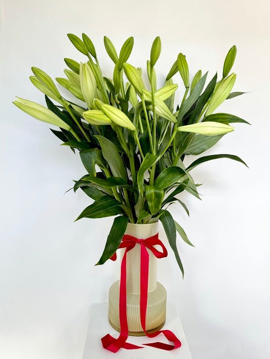 Christmas Lily Vase