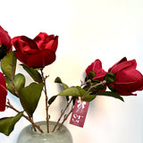 Red Velvet Magnolia Stems