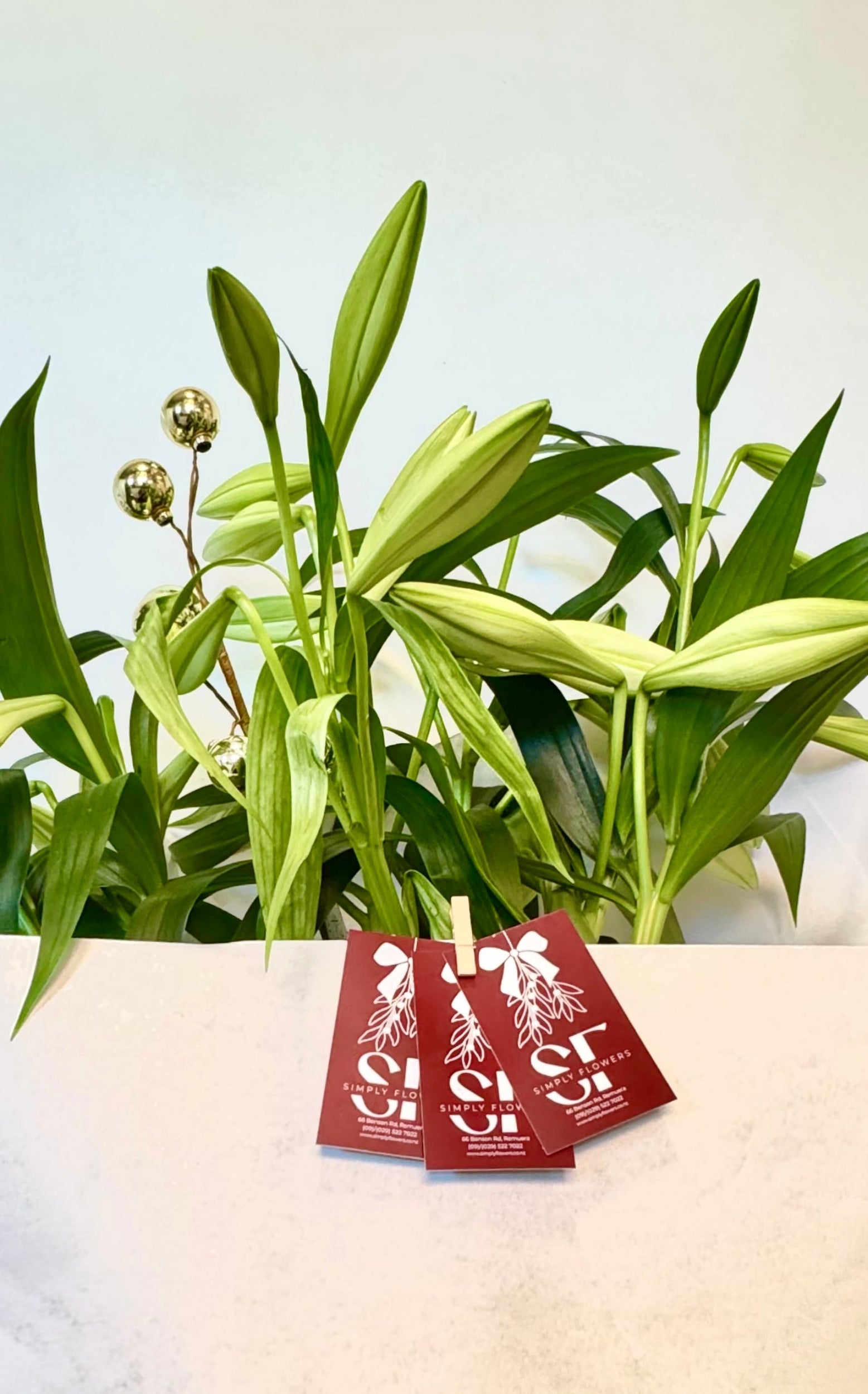 Christmas Collection