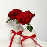 Single Rose in a Vase