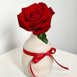 Single Rose in a Vase