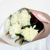 ChrysantheMUM Bunch - PICKUP