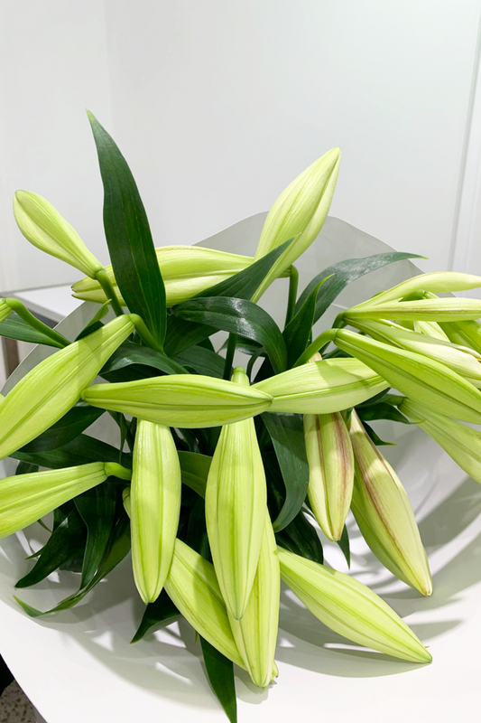 Christmas Lily Bouquet